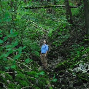 Derbyshire_Woodland